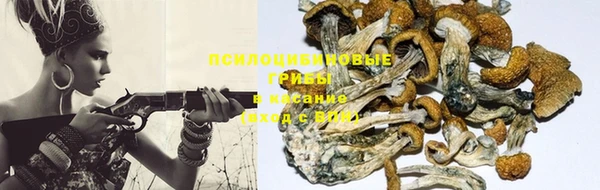 PSILOCYBIN Верхний Тагил