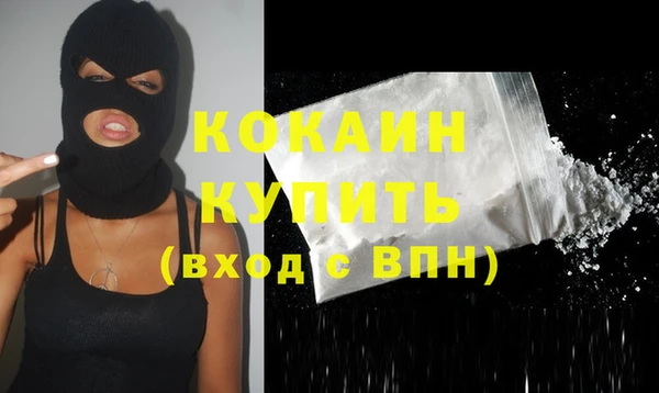 стаф Верея