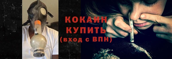 стаф Верея