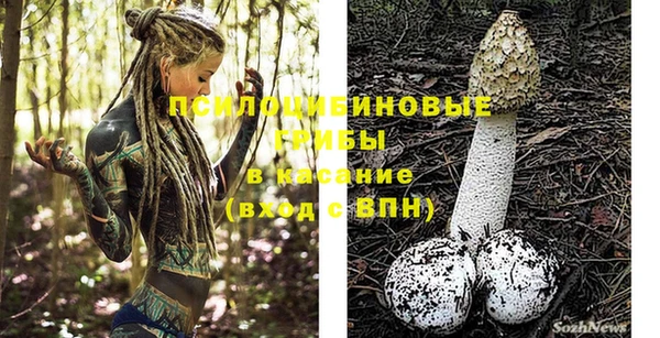 стаф Верея