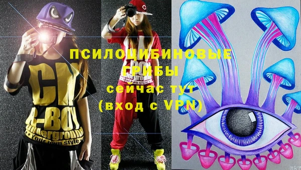 PSILOCYBIN Верхний Тагил