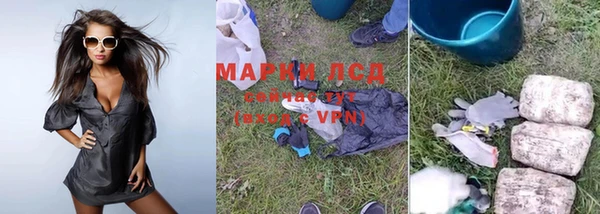 PSILOCYBIN Верхний Тагил