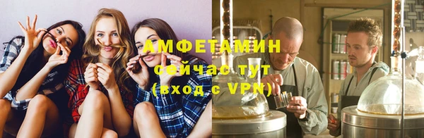 стаф Верея
