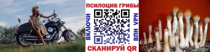 Галлюциногенные грибы мухоморы  наркота  МЕГА tor  Новосокольники 