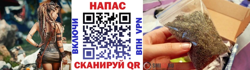 Марихуана сатива Новосокольники